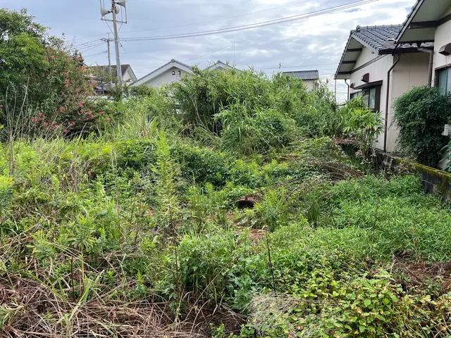 草刈り（草刈り機）サービスの画像