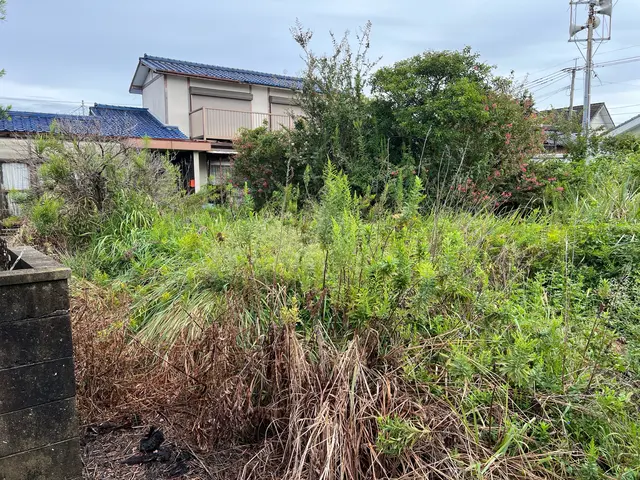 草刈り（草刈り機）サービスの画像