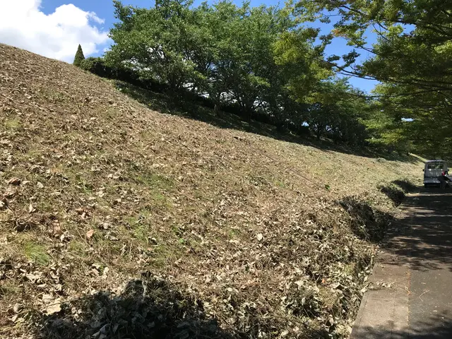 草刈り（草刈り機）サービスの画像