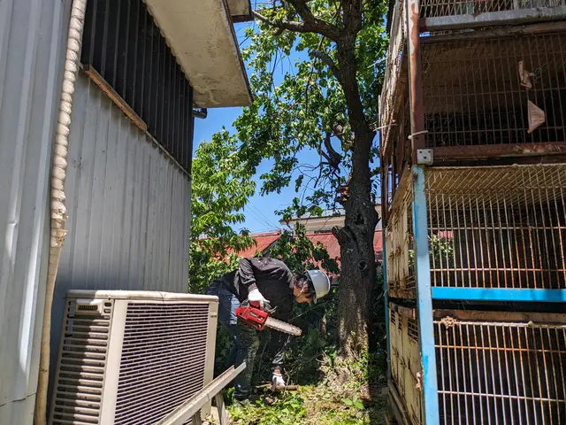 【損害保険加入済みで安心◎】プロの技術で納得の仕上がり！ご要望にお応えします。サービスの画像