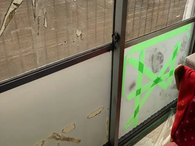 【秋割！】窓ガラス・サッシ・網戸のクリーニング◇頑固なテープ跡も落とします！！サービスの画像