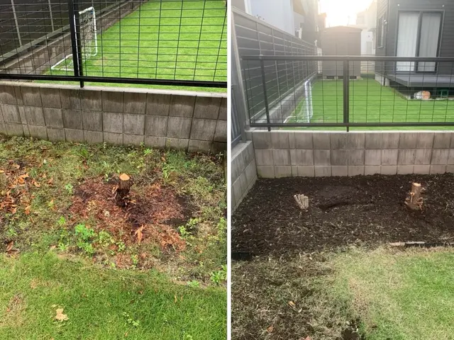 『草刈り・伐採』空家でお困りの方も◎立会不要◎年中無休　☆プロの技術でお悩み解決サービスの画像