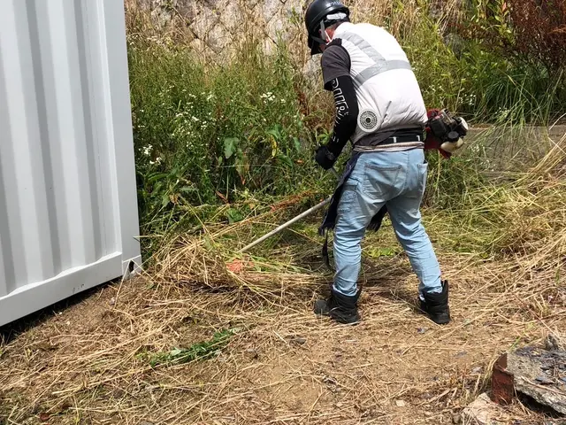 『草刈り・伐採』空家でお困りの方も◎立会不要◎年中無休　☆プロの技術でお悩み解決サービスの画像