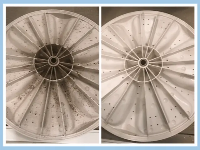 ◤❏  洗濯後に黒い物体出てませんか⁉嫌なニオイも徹底洗浄♪❏◢サービスの画像