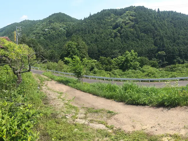 除草剤に抵抗のある方向けのプランもあります。PayPay使えます!サービスの画像