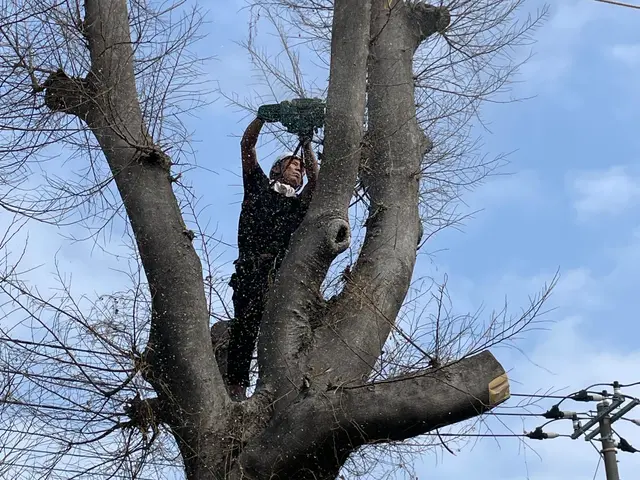 お客様のお力になります！経験と知識を活かして迅速丁寧に作業いたします！サービスの画像