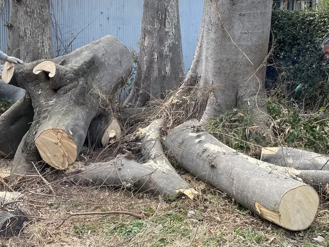 お客様のお力になります！経験と知識を活かして迅速丁寧に作業いたします！サービスの画像