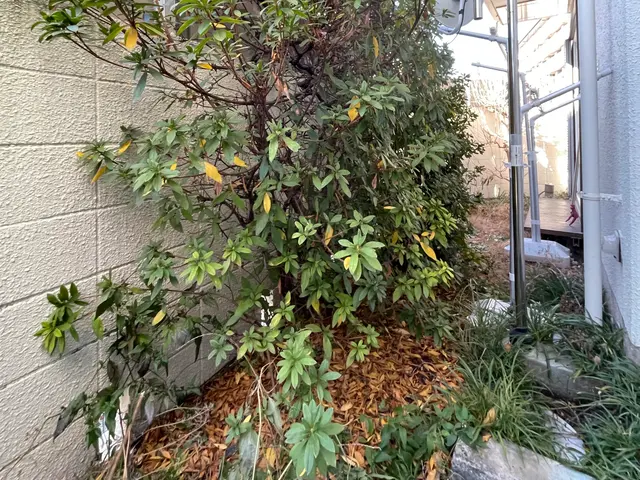 お客様のお力になります！経験と知識を活かして迅速丁寧に作業いたします！サービスの画像