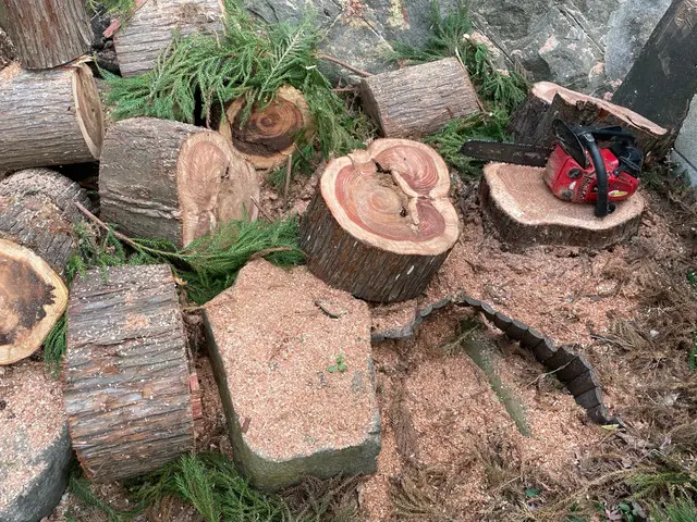 お客様のお力になります！経験と知識を活かして迅速丁寧に作業いたします！サービスの画像