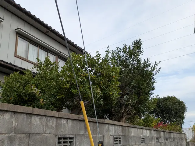 庭木の剪定、お受け致します。荒れたお庭もご相談ください。サービスの画像