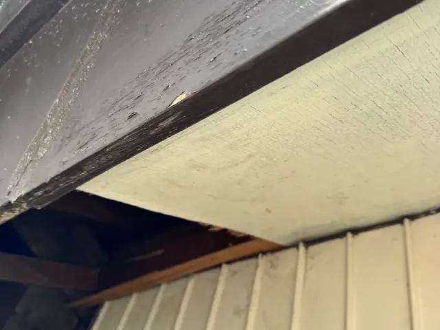 【害獣防除は屋根のプロにお任せ下さい】侵入経路をしっかり閉鎖！解決まで必ず防除！サービスの画像