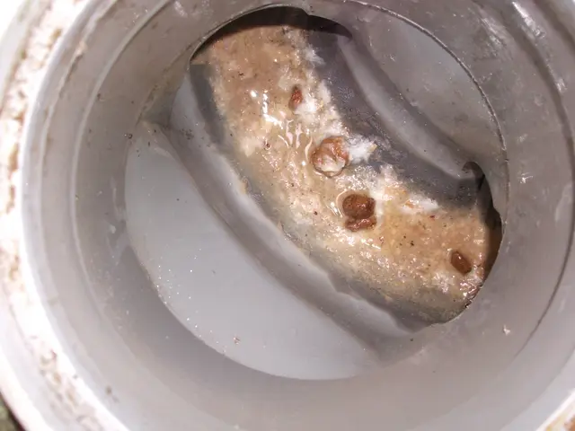 （業界歴２０年）戸建て住宅　安心の損害保険加入済み　外注一切なしをお約束しますサービスの画像