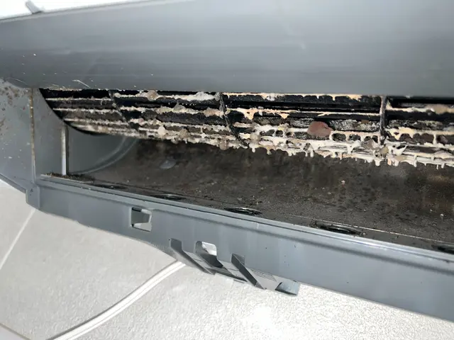 『さあ夏本番!!』【新規出店】★特別価格★｟1番意識しているのはお客様の満足度｠サービスの画像