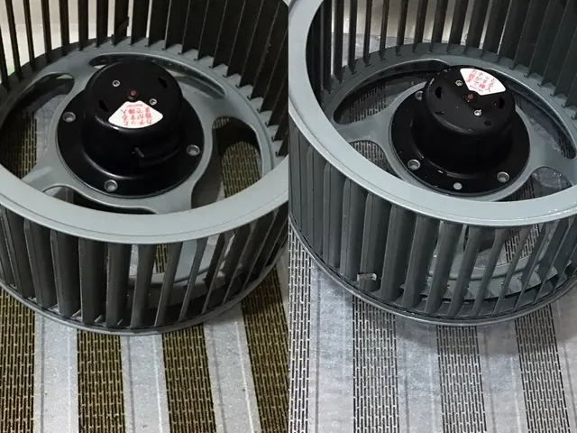 現金払予約で千円引とクレカタッチ可　天然植物洗剤●ペット子供◎ハウスクリーング士サービスの画像