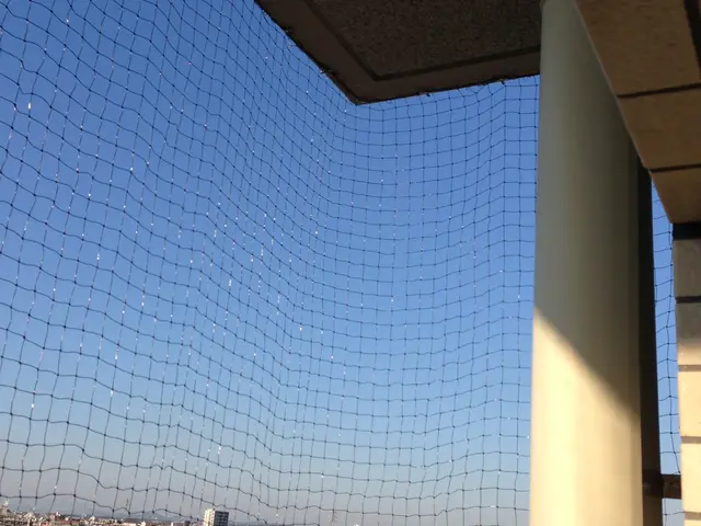 ★害虫・害獣の駆除ならお任せください♪　★即日対応可能　★クレカ使用可！サービスの画像