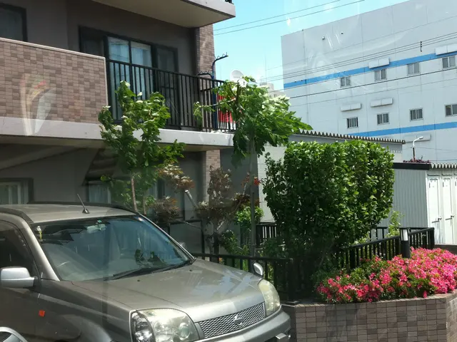 伐採・抜根＜女性スタッフ同行OK＞年中無休でご対応中サービスの画像