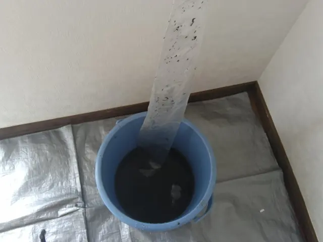 物価高へ特別価格★２台他社半額以下。♪3台〜割引増量中サービスの画像