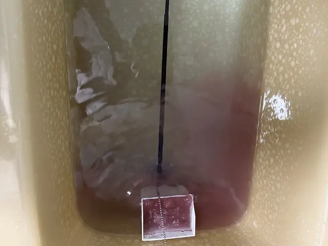 風呂釜配管クリーニングサービスの画像