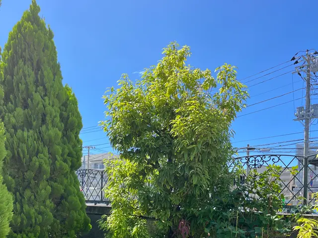 プロの技術でご満足いただけるように心を込めて作業いたしますサービスの画像