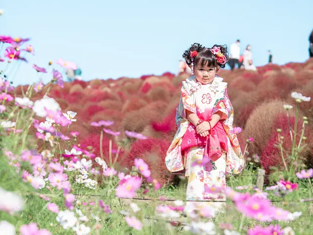 思い出を美しく残す、7年の実績が光る七五三フォト