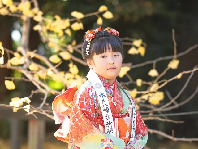 思い出を美しく残す、7年の実績が光る七五三フォト