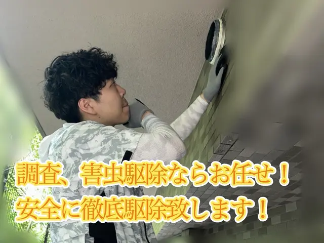 即日可！問合せ下さい！市販薬は使いません！強力な薬剤で即日駆除！実績3000件！サービスの画像