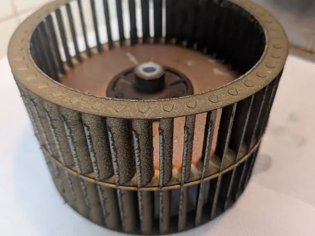 セットがお得！カビも水アカも徹底除去！サービスの画像