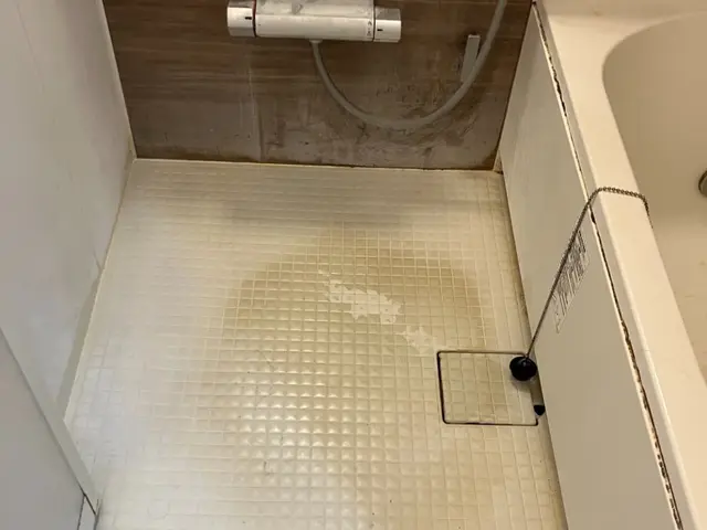 セットがお得！カビも水アカも徹底除去！サービスの画像