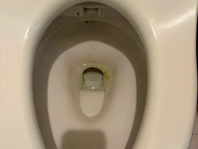 プロの技術でご満足いただけるように心を込めて作業いたしますサービスの画像