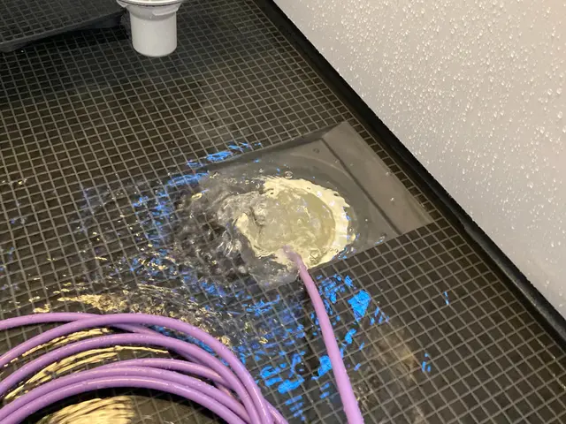 一戸建て排水管洗浄　当店は室内からと外部込みの価格です！サービスの画像