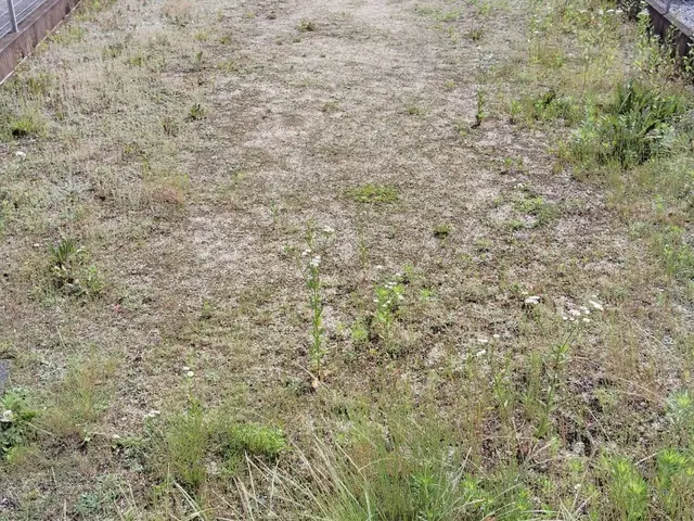 【福島県密着】大手便利屋での経験有!!　　即日対応OK◎営業時間外も対応OK◎サービスの画像