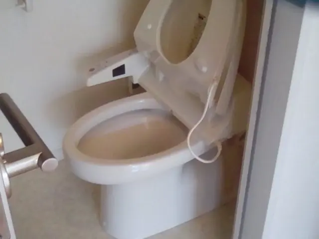 損害賠償補償付で安心！水回りクリーニング（セットプラン）ハウスクリーニングサービスの画像