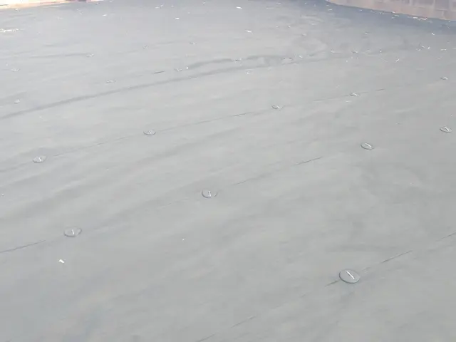 創業100年以上の信頼と実績！安全第一でお庭を美しく整えますサービスの画像