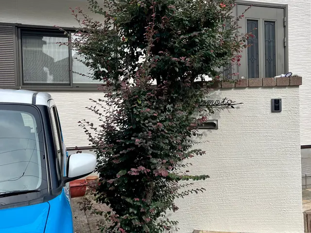 【グリーンいわい】１級造園技能士があなたのお庭をスッキリいたします！サービスの画像