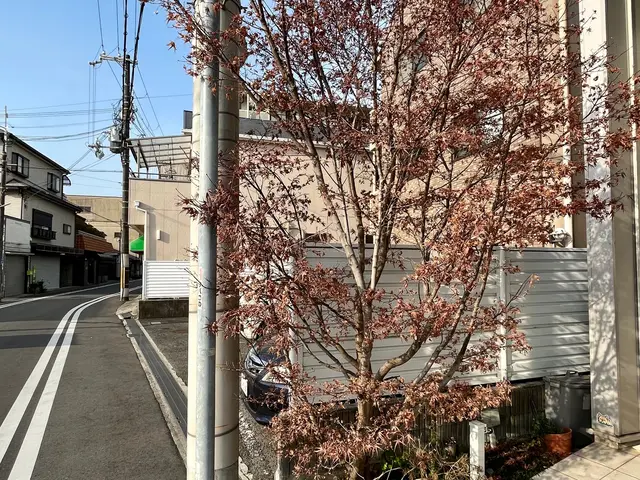 【グリーンいわい】１級造園技能士があなたのお庭をスッキリいたします！サービスの画像