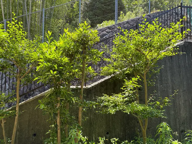 大手経験者が養生徹底で安心対応！自社スタッフ100％の確かな技術をお届けします！サービスの画像