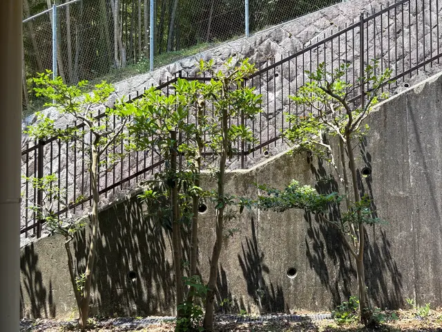 大手経験者が養生徹底で安心対応！自社スタッフ100％の確かな技術をお届けします！サービスの画像