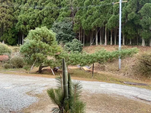 大手経験者が養生徹底で安心対応！自社スタッフ100％の確かな技術をお届けします！サービスの画像