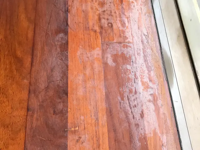 お引越しの際のハウスクリーニング。損害保険加入で安心！サービスの画像