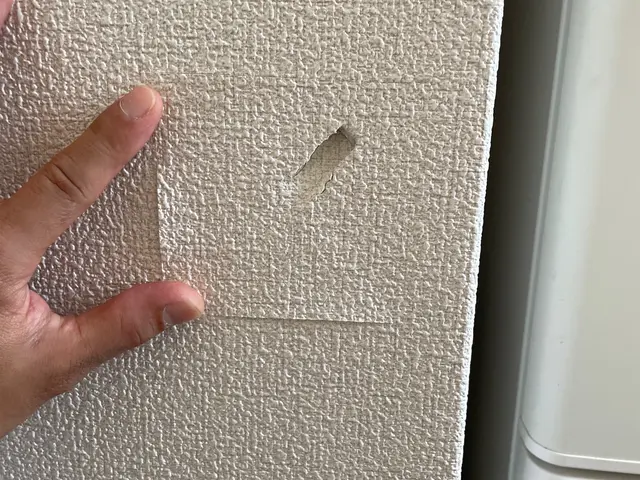 壁の穴・凹みの補修のことならぜひ当店におまかせください！！サービスの画像