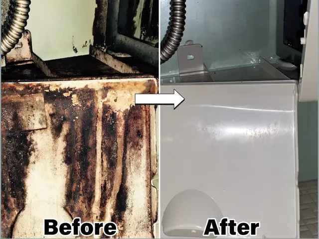 【年末お風呂掃除するなら早めが絶対おトク！】カビ、水垢に強い風呂掃除のプロサービスの画像