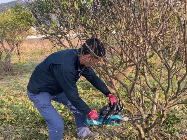 【損害保険加入済みで安心◎】営業時間外のご相談も受付可能です！サービスの画像