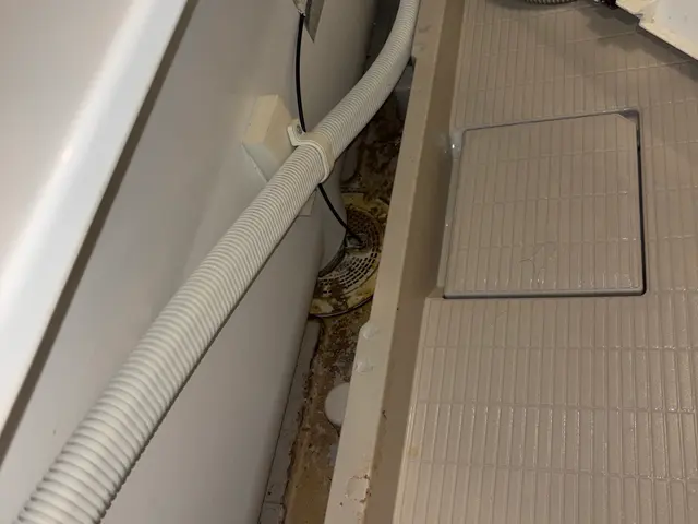 浴室＋換気扇（レンジフード）クリーニング人気の水回り2点セットサービスの画像