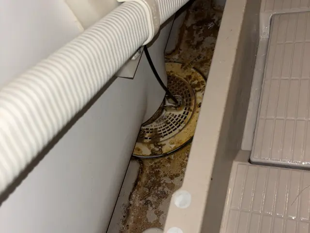 浴室＋換気扇（レンジフード）クリーニング人気の水回り2点セットサービスの画像