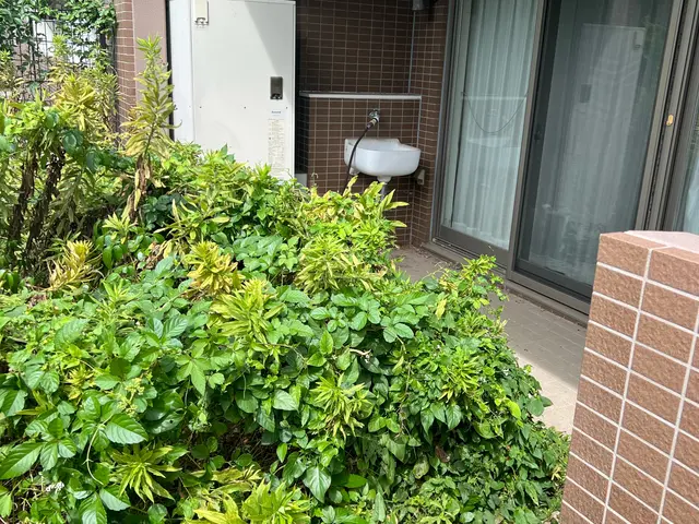 ご相談やご質問だけでも全然良いですよ！　ご相談やご質問だけなら０円ですからね！サービスの画像