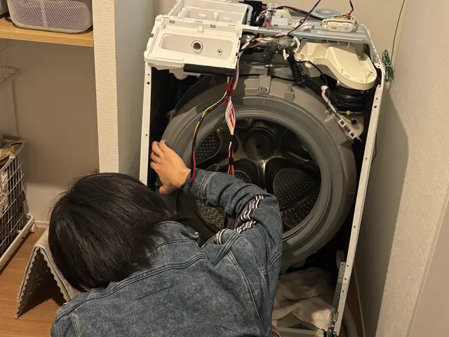 “まるごと洗浄”で解決！　― 本格的な花粉到来に、洗濯機をリセット ―サービスの画像