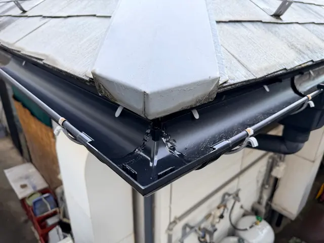 雨樋清掃・詰まり除去・簡単修理対応｜落ち葉対策サービスの画像