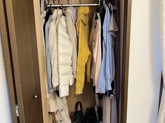 プロの技術！家事代行で暮らしを整えます！高温スチーム×整理収納【チーム体制】サービスの画像