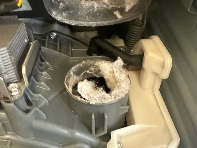 損害保険加入済み　乾燥遅いなと感じたら掃除のサインです♪11月500円オフです!サービスの画像