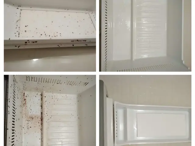 《年中無休・地域密着》損保加入済◆厳しい現場研修済のスタッフが訪問！P代お店負担サービスの画像